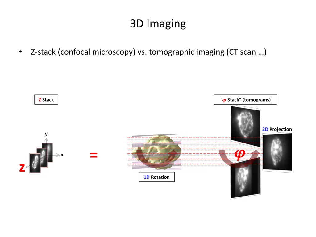 3d imaging