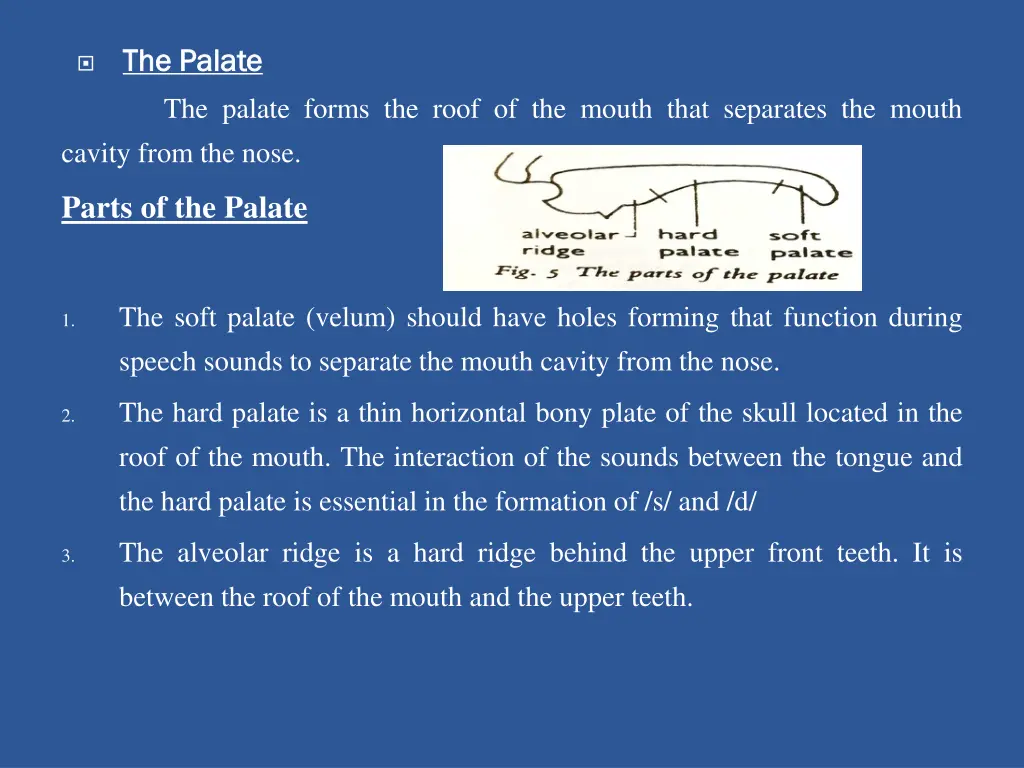 the palate the palate