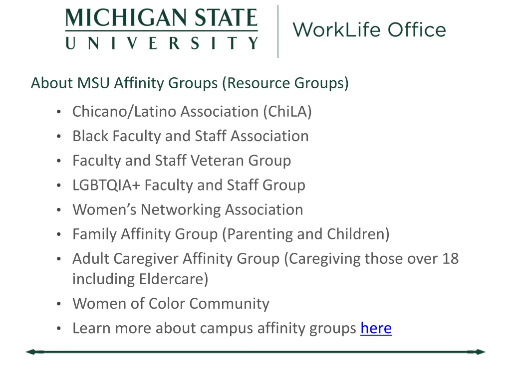 about msu affinity groups resource groups