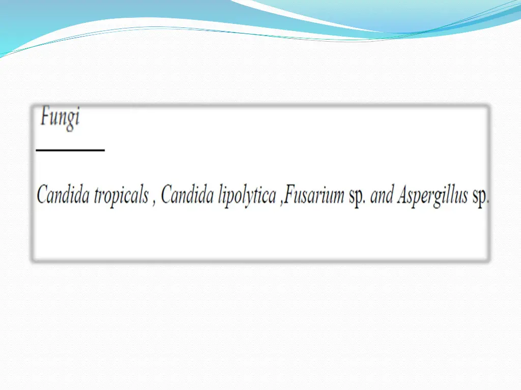 slide16