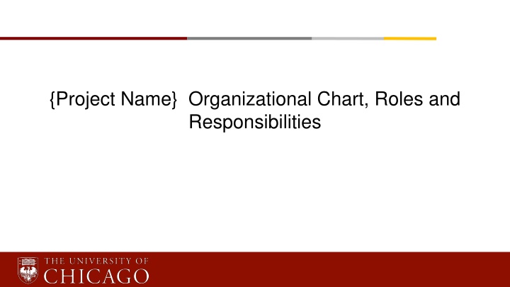 project name organizational chart roles
