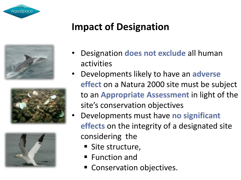 impact of designation