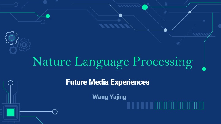 nature language processing