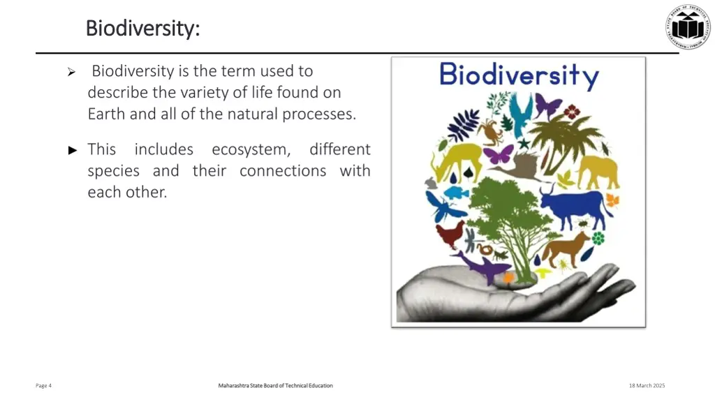 biodiversity biodiversity