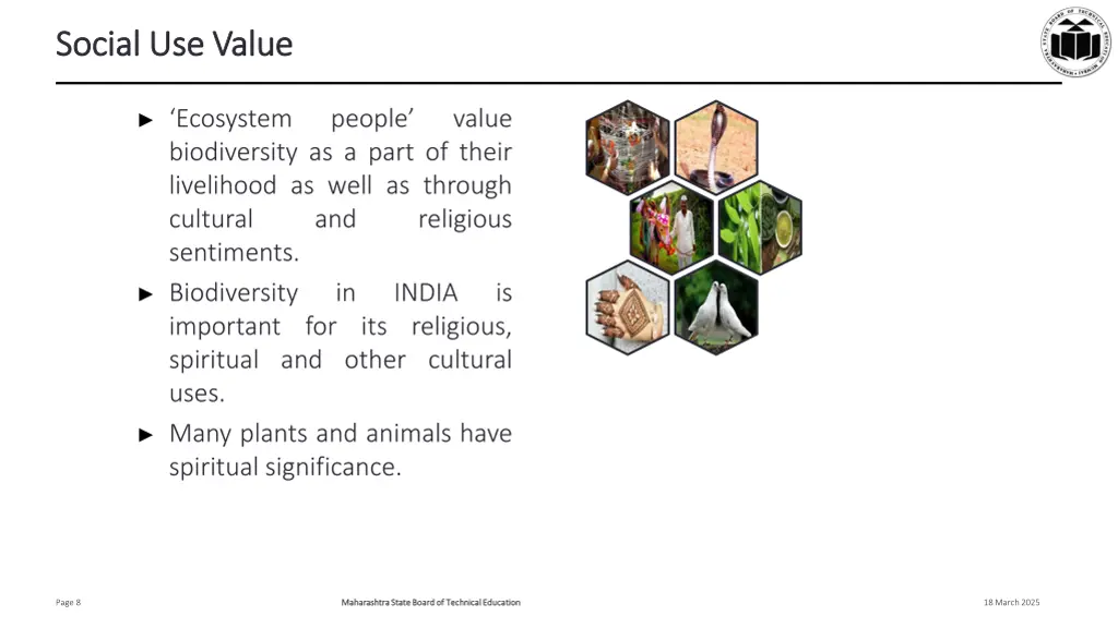 social use value social use value