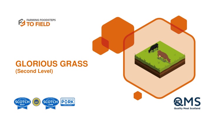 glorious grass second level