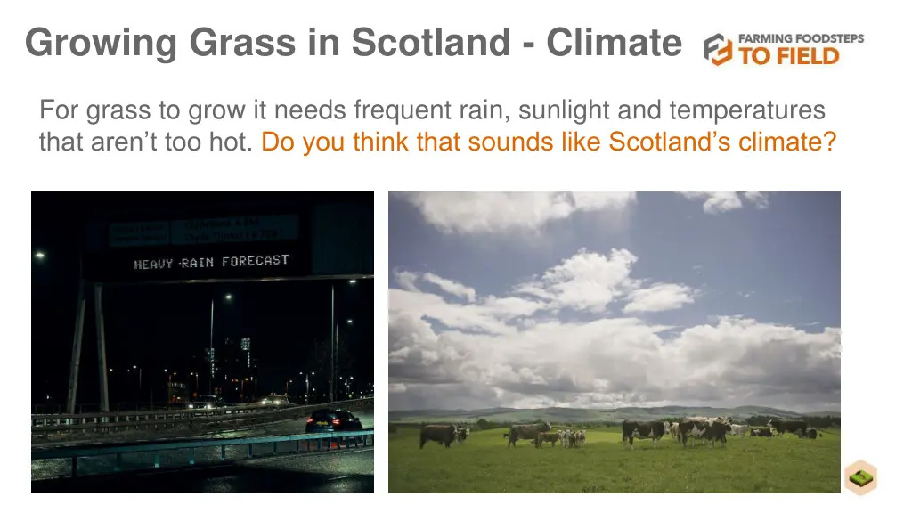 growing grass in scotland climate