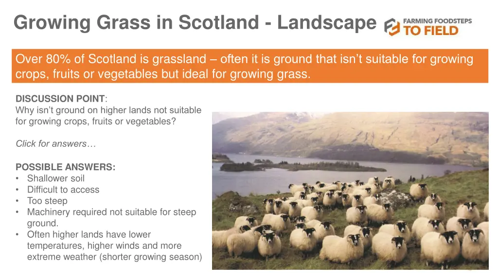growing grass in scotland landscape