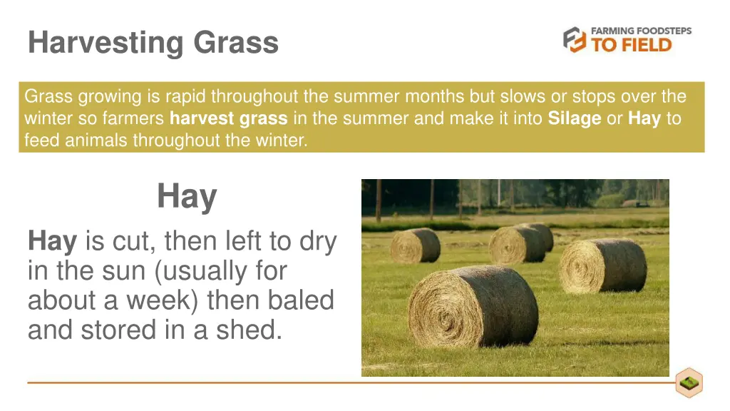 harvesting grass