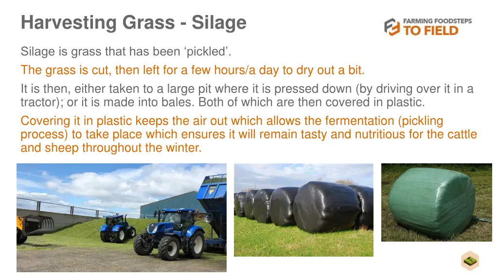 harvesting grass silage