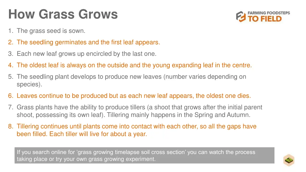 how grass grows