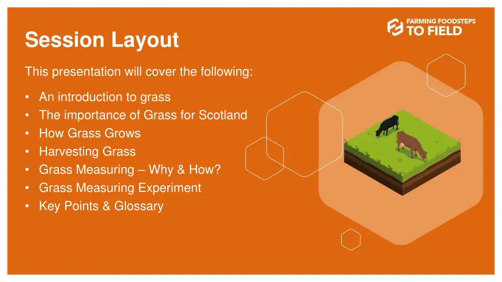 session layout