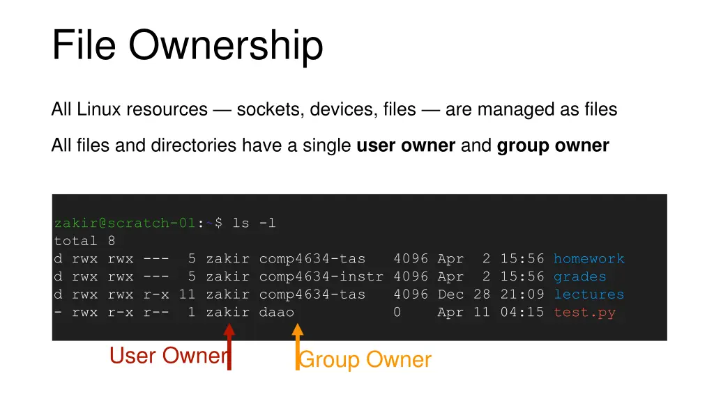 file ownership