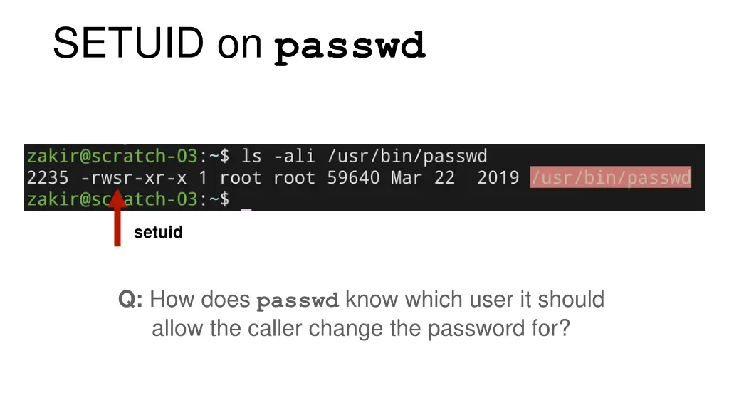 setuid on passwd