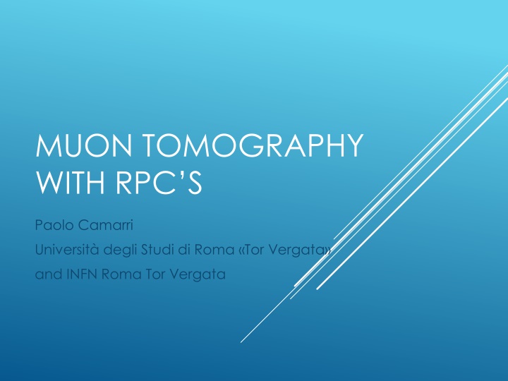 muon tomography with rpc s