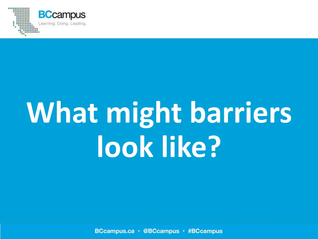 what might barriers look like