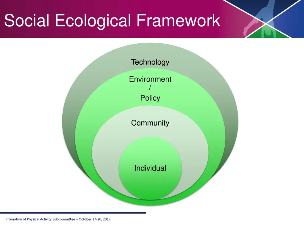 social ecological framework
