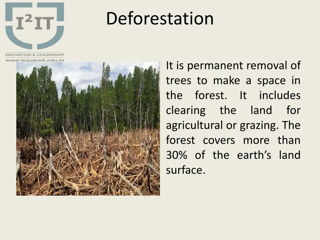 deforestation