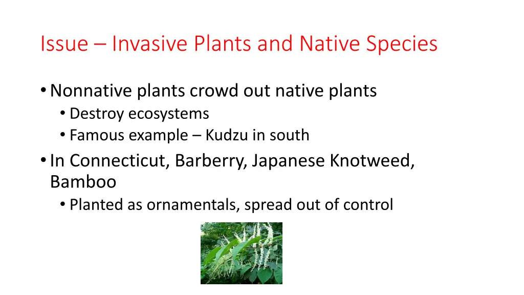issue invasive plants and native species