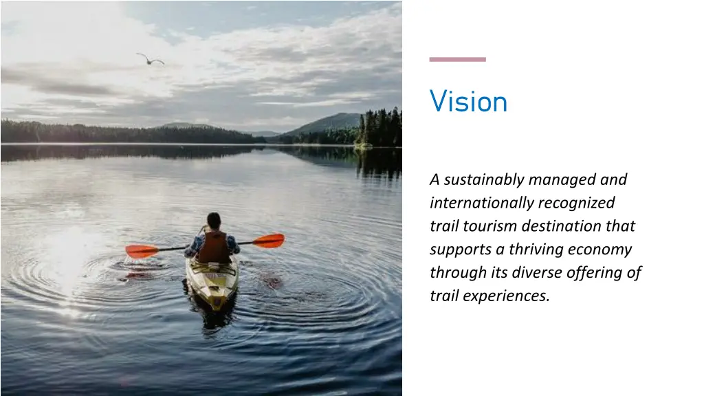 vision vision