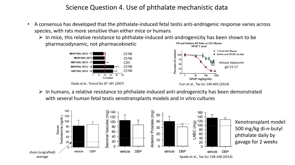 science question 4 use of phthalate mechanistic