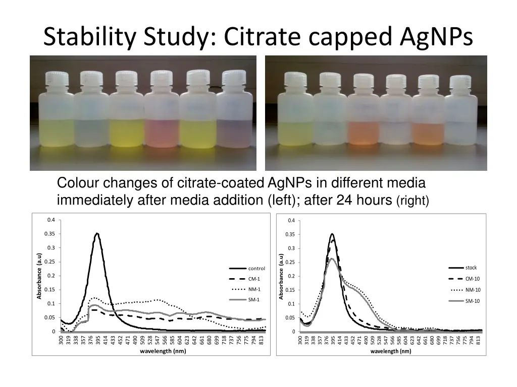 stability study citrate capped agnps