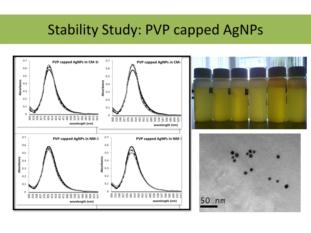 stability study pvp capped agnps