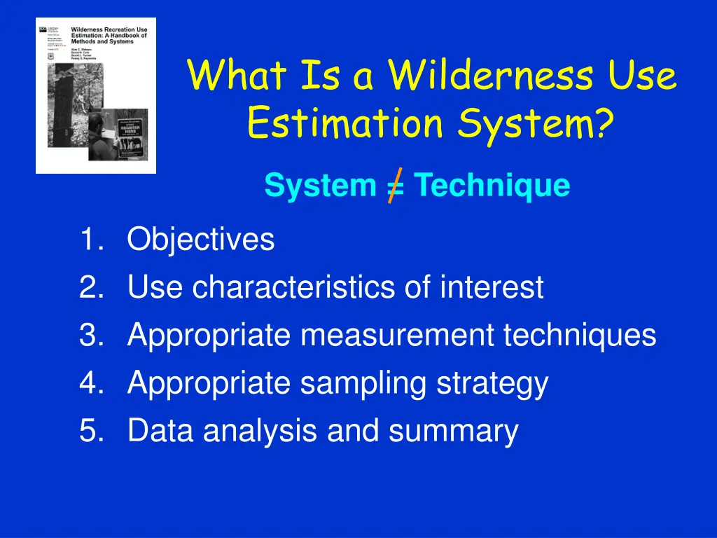 what is a wilderness use estimation system