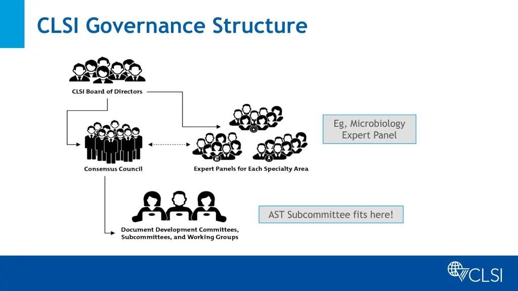 clsi governance structure