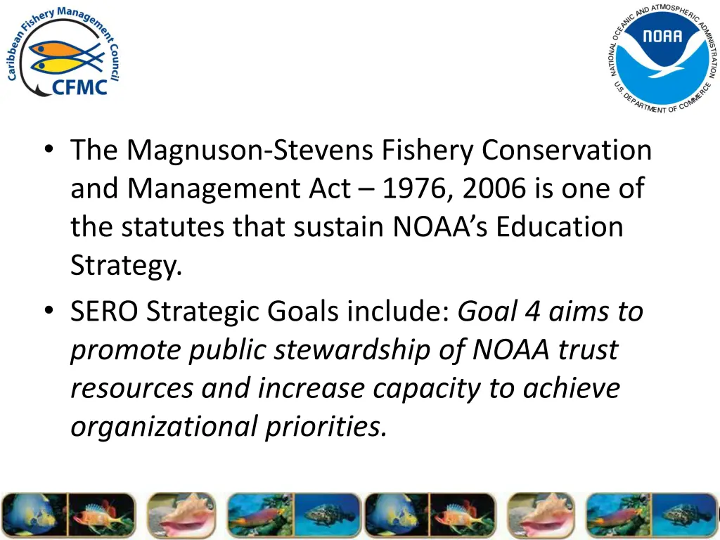 the magnuson stevens fishery conservation