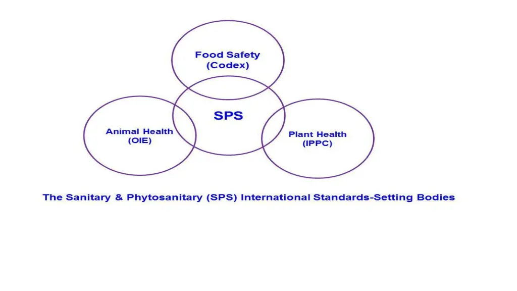 slide6