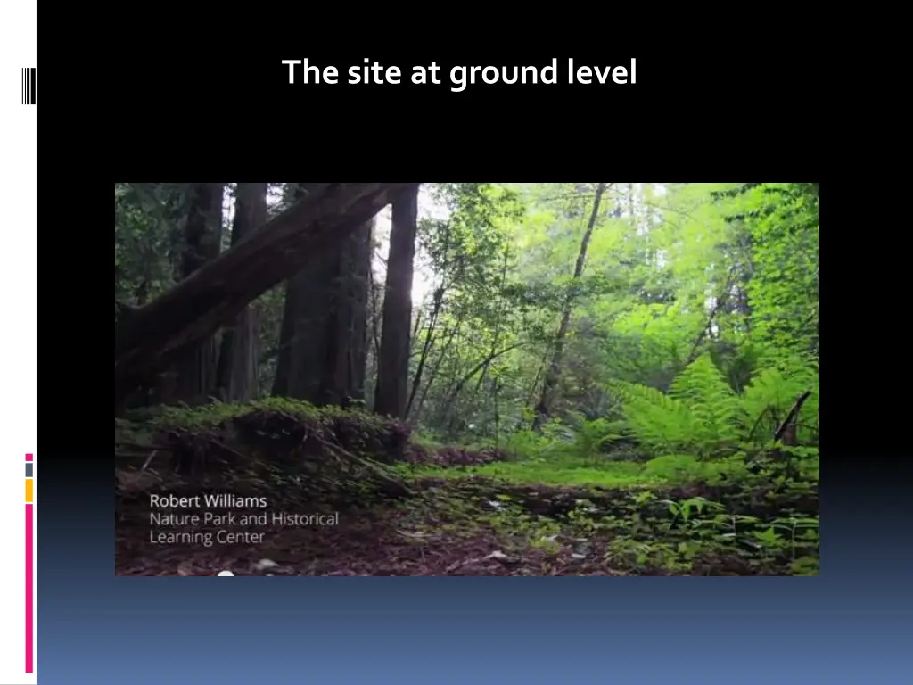the site at ground level