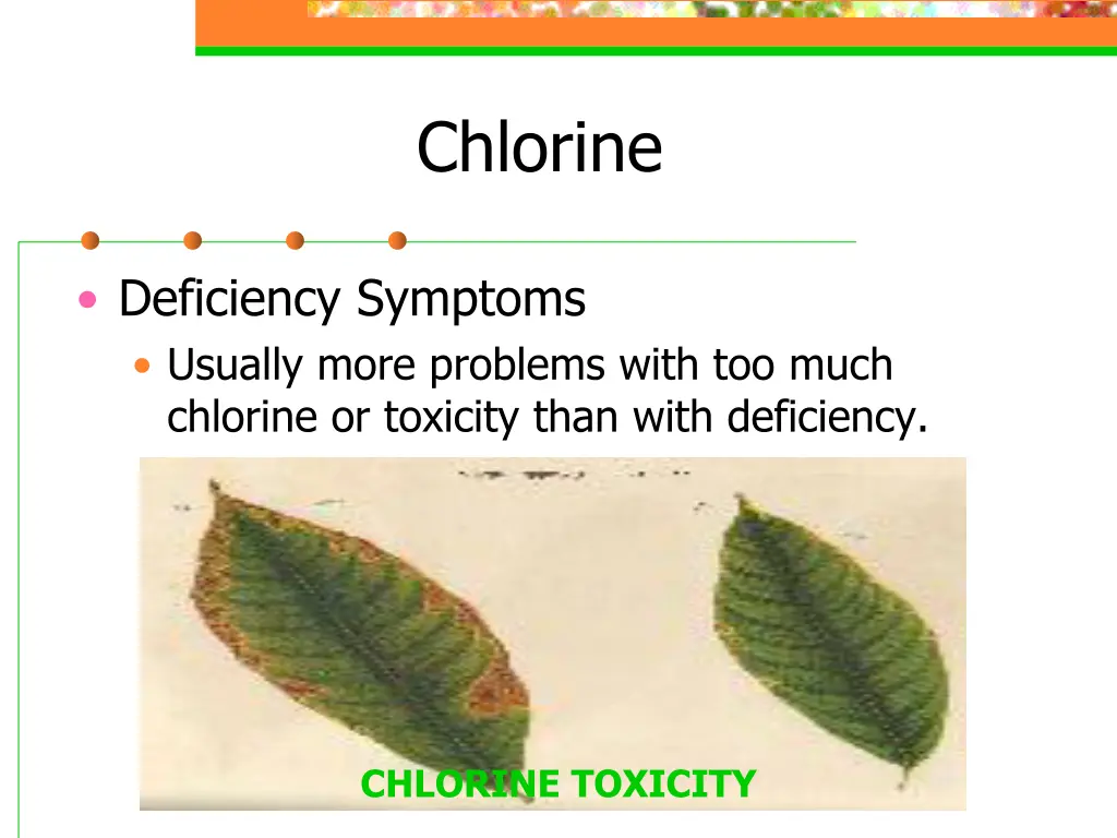 chlorine 1
