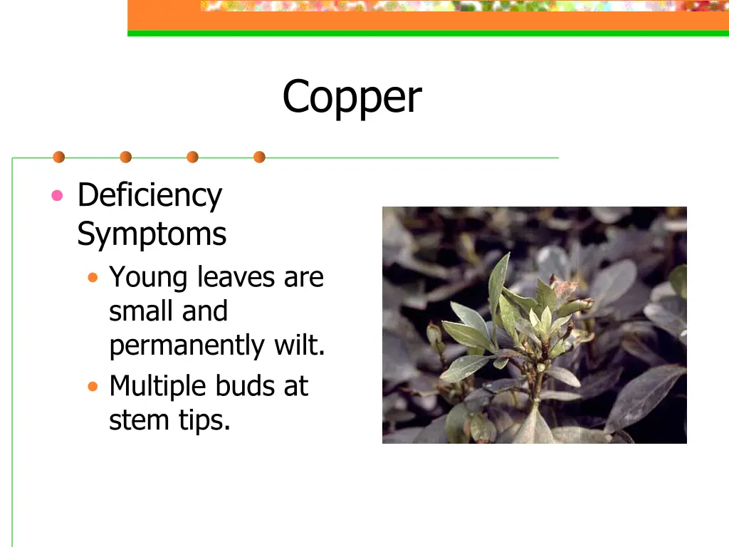 copper 1