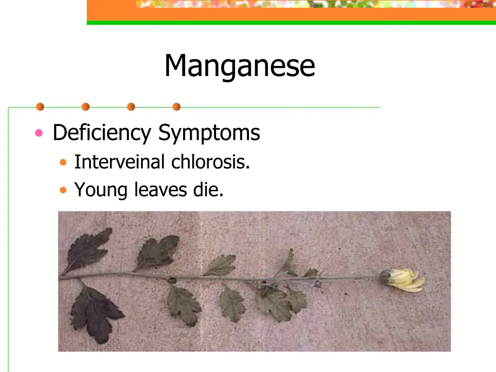 manganese 1