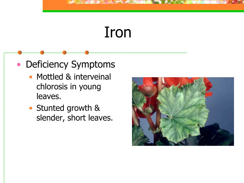 slide22