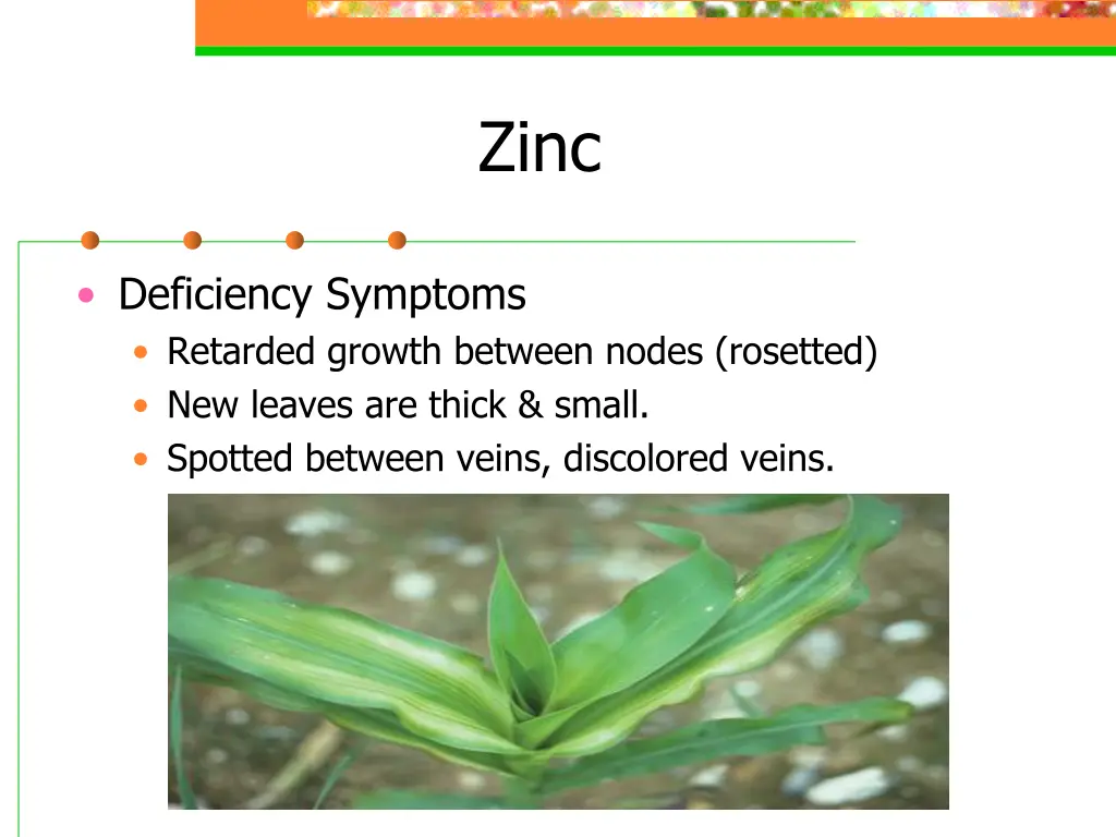slide26