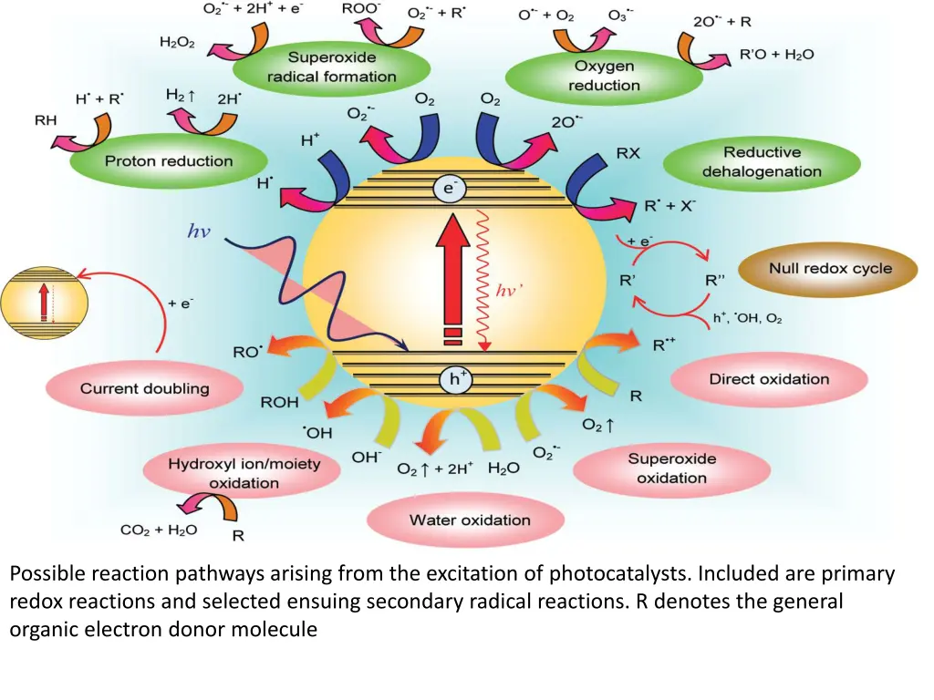 possible reaction pathways arising from
