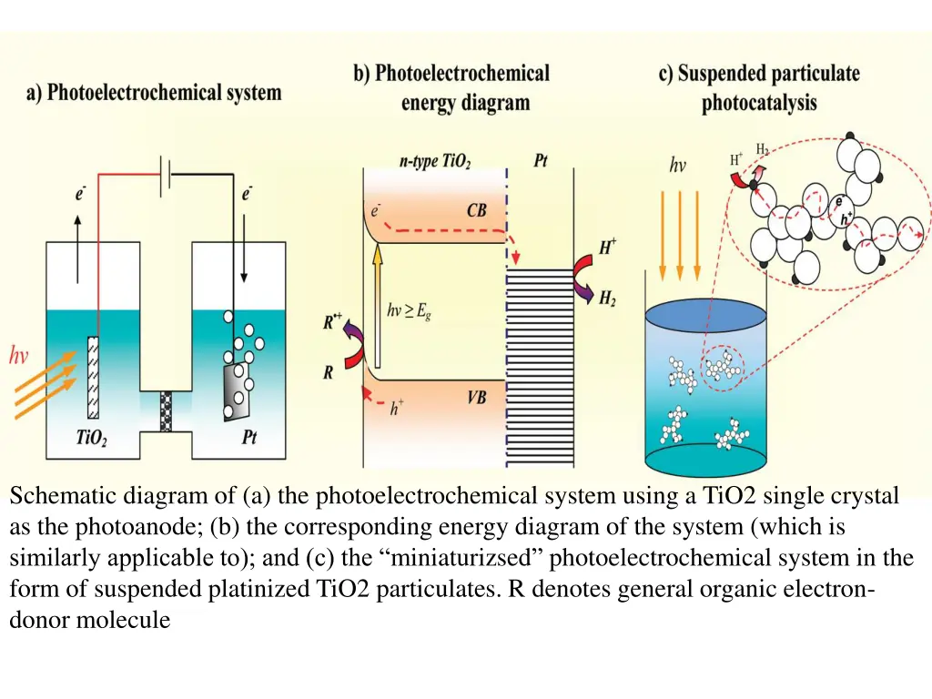 schematic diagram of a the photoelectrochemical