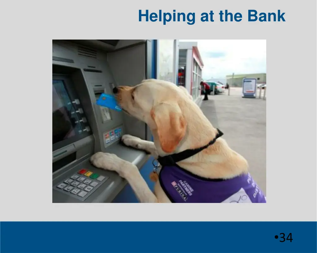 helping at the bank