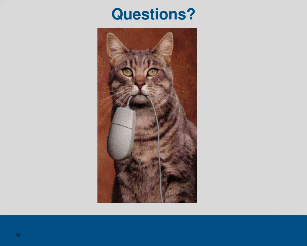 questions