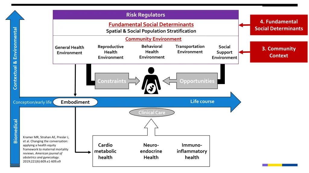 risk regulators