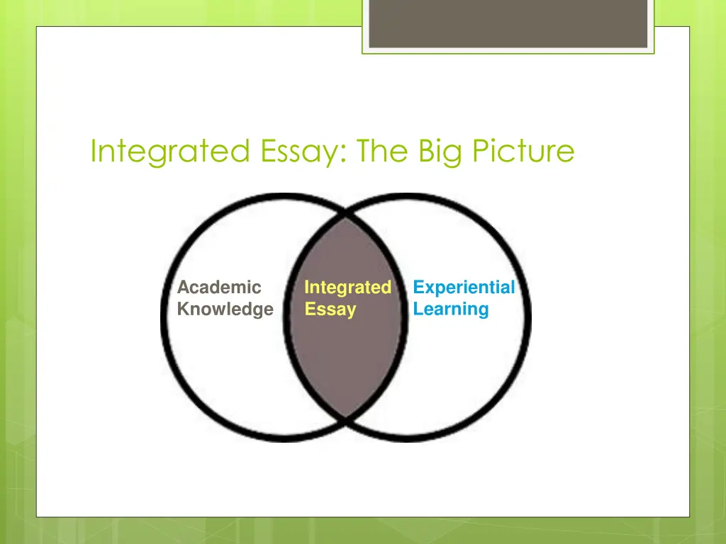integrated essay the big picture