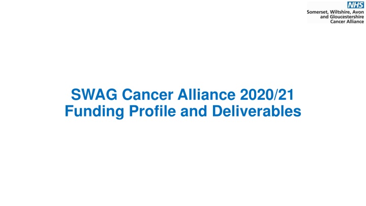 swag cancer alliance 2020 21 funding profile