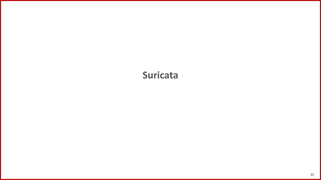 suricata