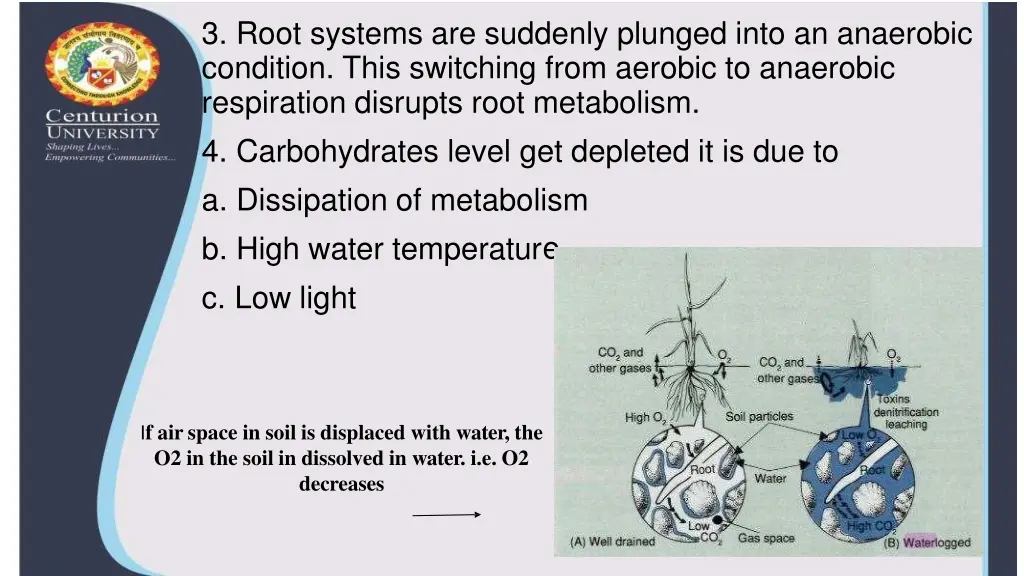 3 root systems are suddenly plunged into