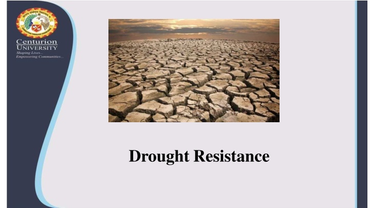 drought resistance