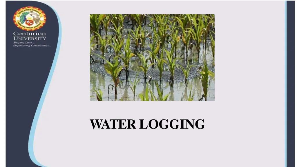 waterlogging