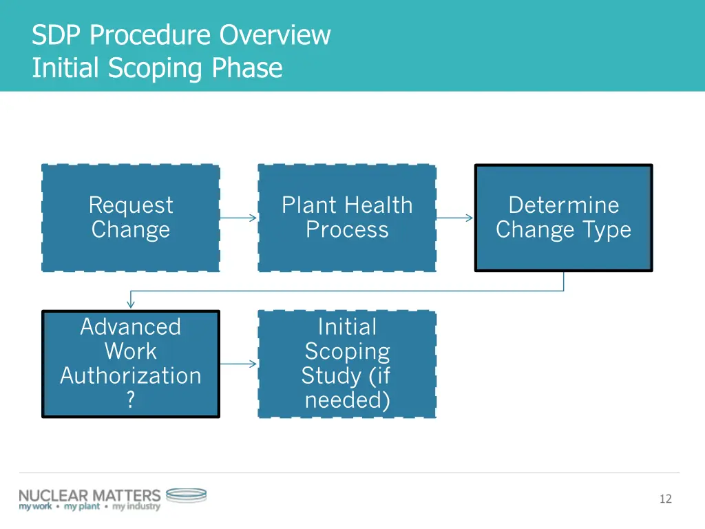 sdp procedure overview initial scoping phase