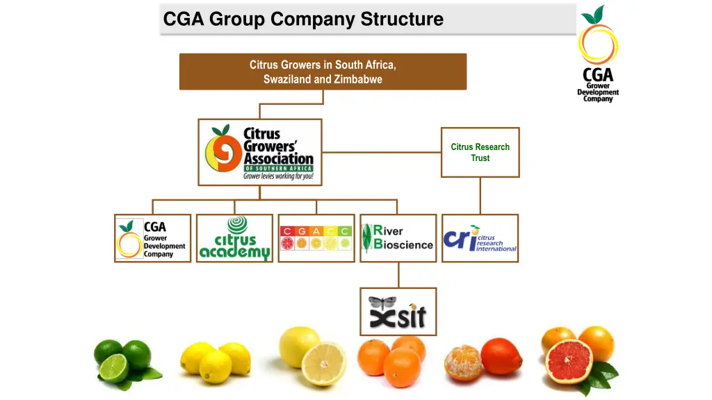 cga group company structure